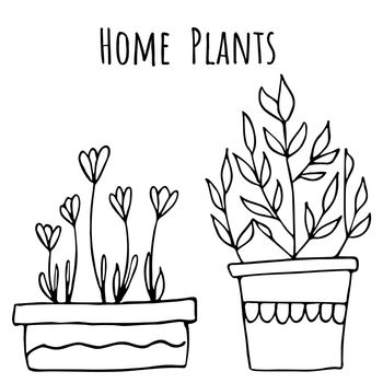 Set of houseplant vector illustration with simple line doodle design