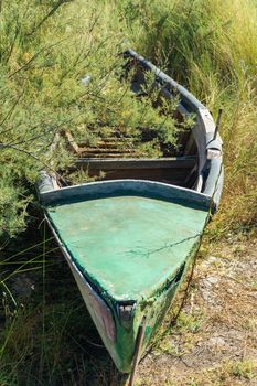 An old wooden boat abandoned in the thickets on the river bank