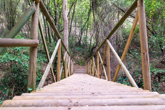 Old, wooden bridge over the river in a forest Greece, Peloponnese