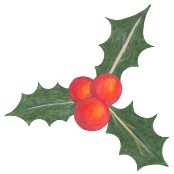 Christmas Red Berry with Green Leaves Drawn by Colored Pencil Isolated on White Background.