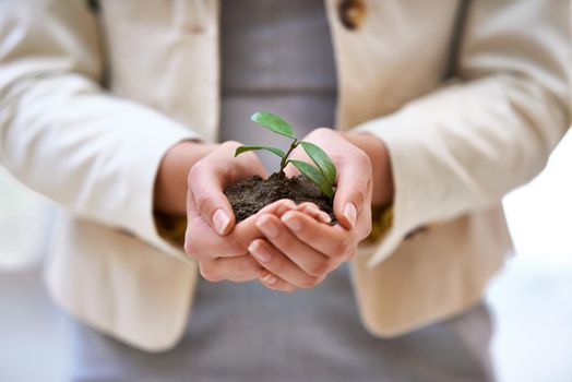 It takes time to build a business. a hands holding a budding plant.