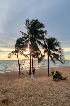 Dongtan Beach Pattaya Jomtien Thailand, palm trees on the beach during sunset