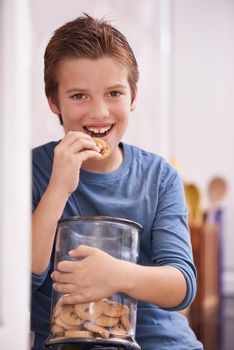 All for me. A young boy eating a cookie while holding a cookie jar.