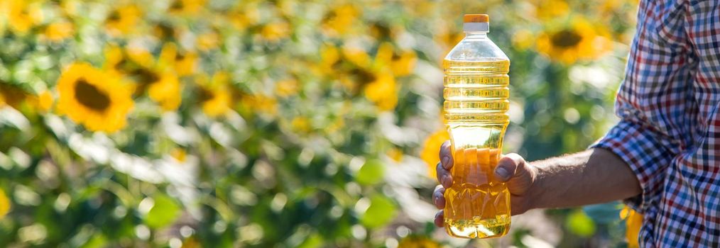 Sunflower oil in the hands of a male farmer on the field. Selective focus.