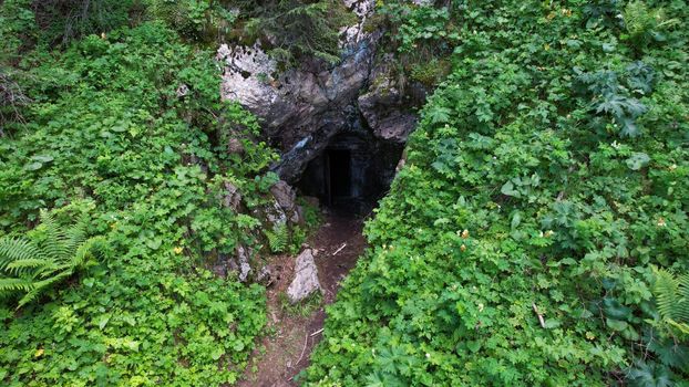 The entrance to stone cave is hidden by greenery