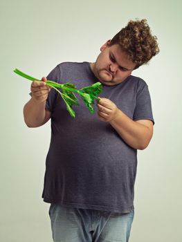 What is this thing. an unhappy overweight man holding a celery stick.