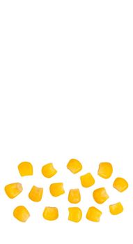 Corn grains set. Color image of several corn kernels. Vector mesh illustration.