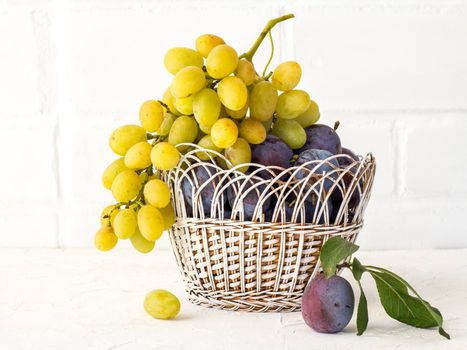 Just picked plums and grapes in wicker basket on white backdrop.