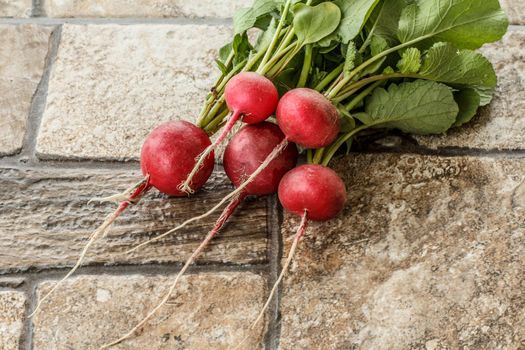 Ripe red radishes with green leaves on stone floor.