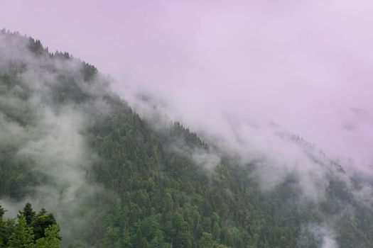 Mountain lake in the fog