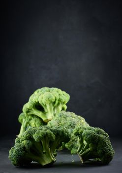 Fresh green head of broccoli on black background	