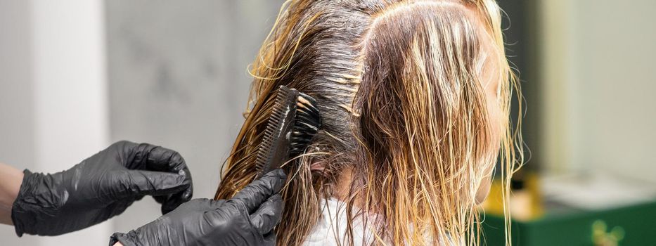 A hairdresser in black gloves is applying brush color to the hair of a customer. Hair coloring in a beauty salon close-up.