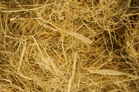 Dry yellow straw grass background texture after havest 