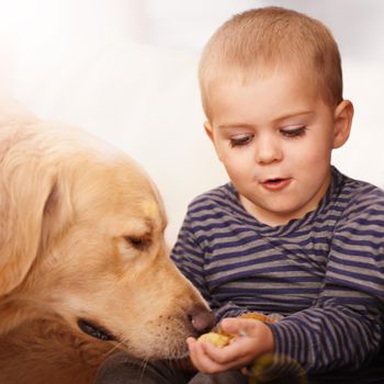 Learning how to be a responsible little boy. An adorable little boy with his puppy at home.