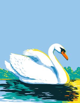 Mute Swan or Cygnus Olor Swimming in Lake Viewed from Side WPA Poster Art