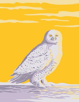 Snowy Owl Polar Owl White Owl or Arctic Owl in the Tundra of the Arctic Regions of North America WPA Poster Art