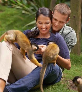 Just monkeying around. a young couple spending time at an animal sanctuary.