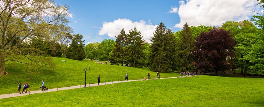 New York, USA - May 15, 2019: Central park at sunny day in Manhattan, New York City, USA