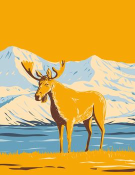 Moose or Elk in Denali National Park and Preserve or Mount McKinley In Alaska WPA Poster Art