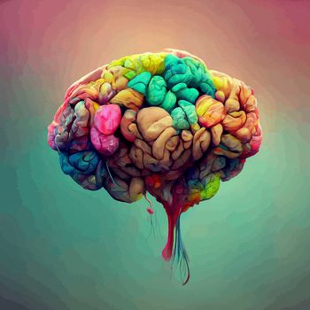 Colorful illustration of the human brain. detailed 2d illustration of the human brain. parts of the brain.
