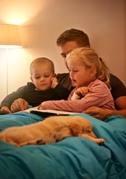 What happens next, Daddy. A father reading a bedtime story to his kids.