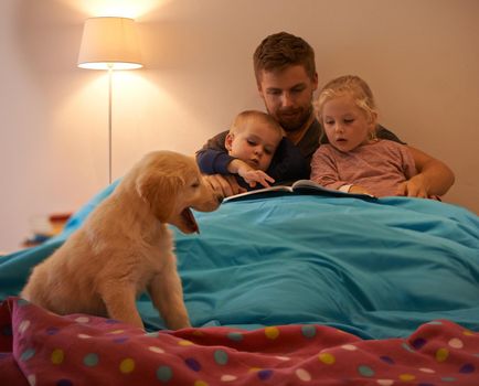 This fluffy little guy is ready for bed too. A father reading a bedtime story to his kids.