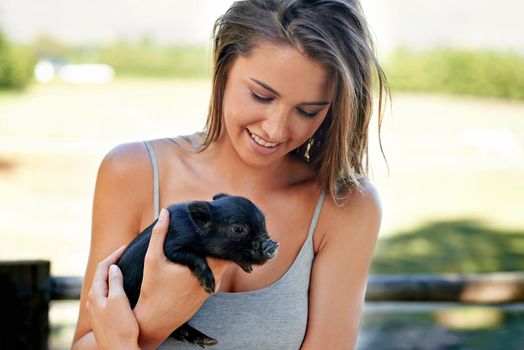 Getting to know the newest member on the farm. A young woman holding a cute piglet.
