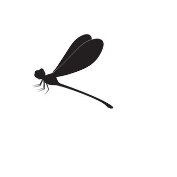 Dragon fly icon logo vector