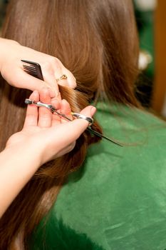 A hairdresser is cutting long hair in a hair salon.