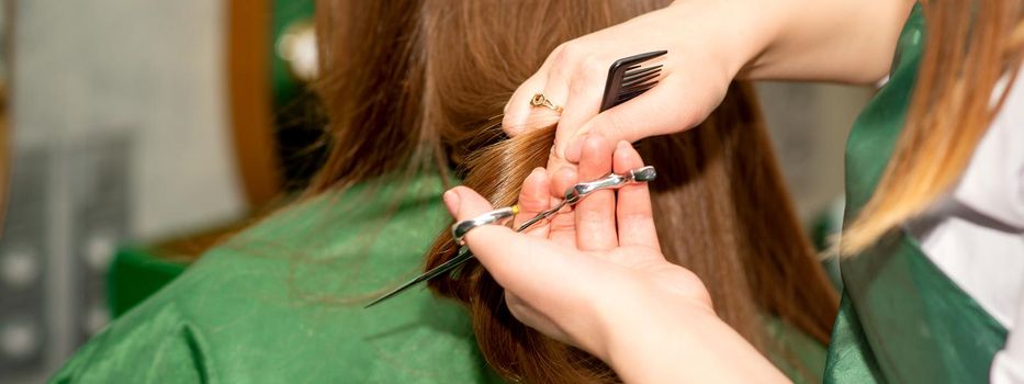 A hairdresser is cutting long hair in a hair salon.