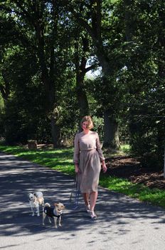 young beautiful caucasian girl walks with two dogs on the road among tall trees in summer. High quality photo