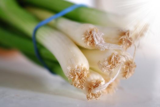 Bundle of freshness. Cropped view of spring onions tied together.