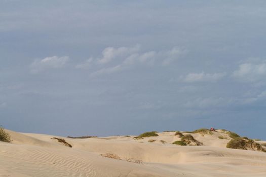 Coastal dunes