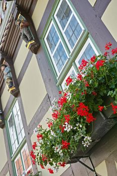 Quaint village life. Flowers decorating a window exterior on an old building- low angle.