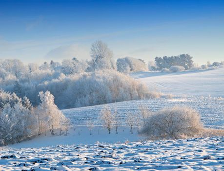 The sun is shining on this winters day. a scenic winter landscape.