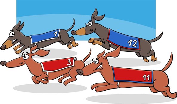 cartoon funny dachshund purebred dogs race