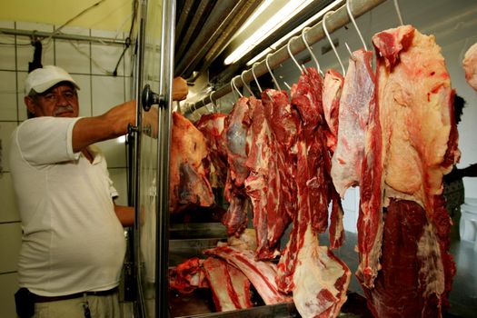 bolvina meat in fair in bahia