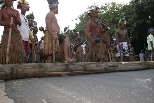 pataxo indians in south bahia