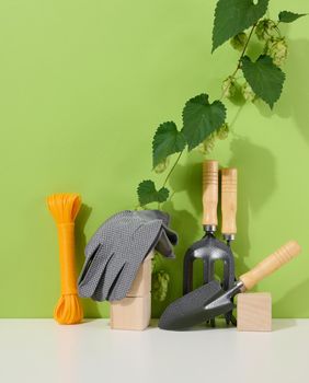 Garden tools for processing beds in the garden and textile gloves on a green background