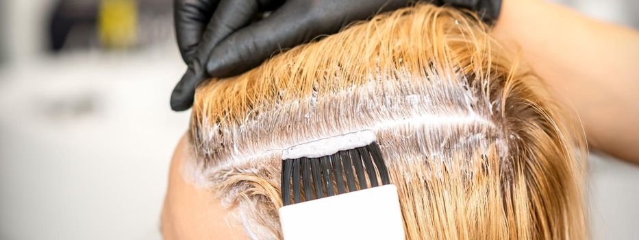 The hairdresser is dyeing blonde hair roots with a brush for a young woman in a hair salon.