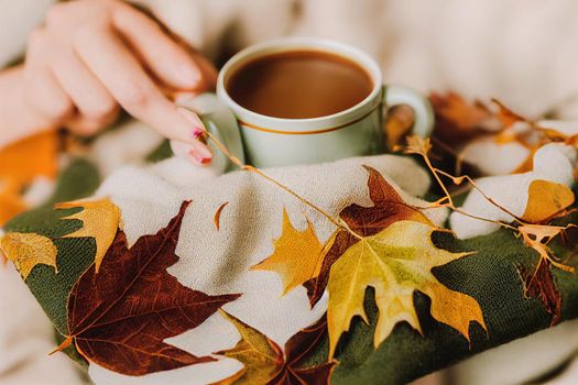 Floral autumn background A mug of coffee in a