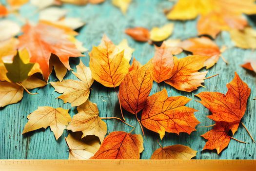 Autumn leaves frame on one down side wooden blue