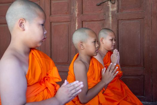 Ordain become a novice monk or little neophyte