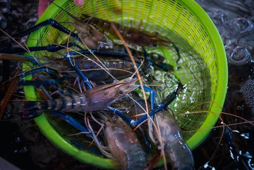Fresh raw shrimp at Thai seafood market