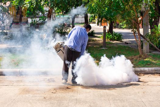 Fogging DDT spray mosquito kill for virus protect