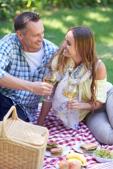 Theres nothing more romantic than a picnic. a married couple enjoying a picnic outdoors.