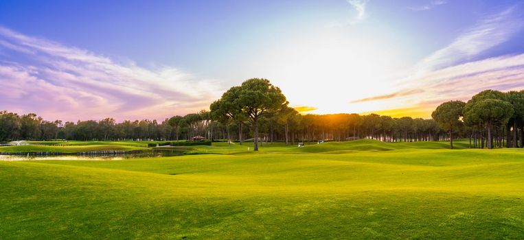 Golf course panorama at sunset with beautiful sky. Scenic panoramic view. Golf course with pine trees