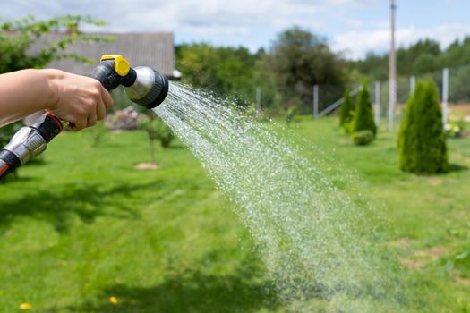 garden hose with a sprayer pours water on the lawn