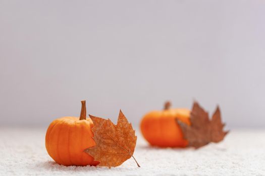 Autumn composition with mini pumpkins and dry fallen leaves