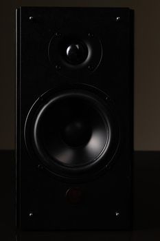 luxury speaker system, music column with large speaker